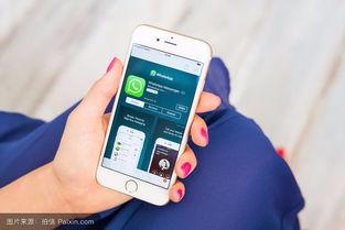 沙西米在线观看手机,手机端畅享美食电影之旅 第1张 沙西米在线观看手机,手机端畅享美食电影之旅 第1张